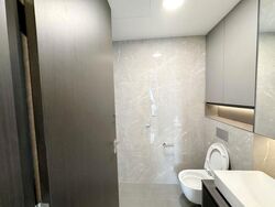 Irwell Hill Residences (D9), Apartment #618161781